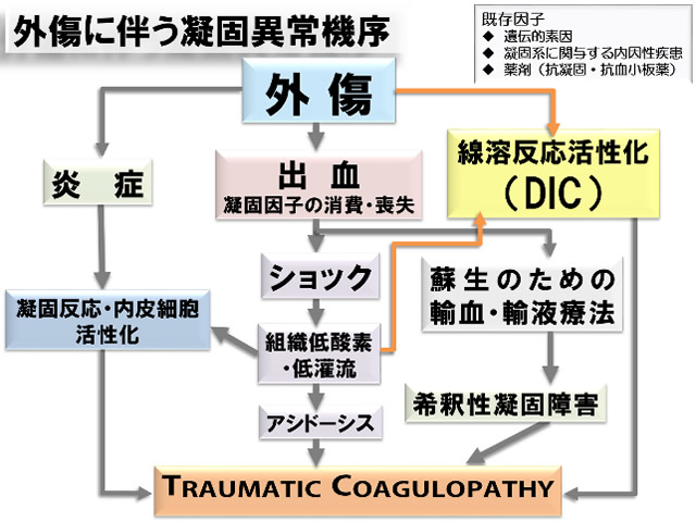 内 血管 播種 症候群 性 凝固