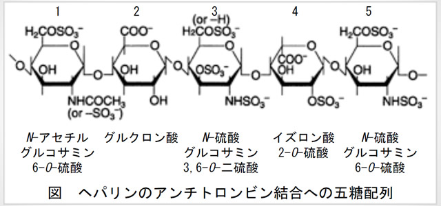ヘパリンのアンチトロンビン結合への五糖配列
